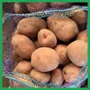 картофель урожай 2020 года оптом. в Пензе
